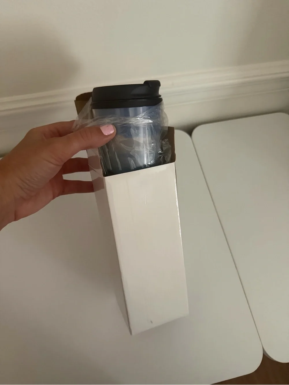 Carnival insulated travel